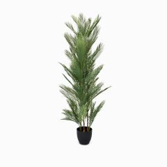 Палм (Palm)