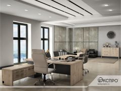 Кабинет руководителя «Торстон (Torston)»