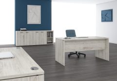Икстен (XTEN)