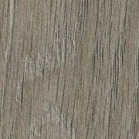 Дуб Верцаска MS