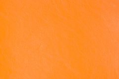 Art-Vision Next 229