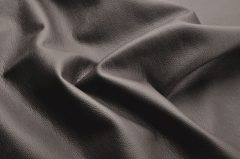 Domus taupe