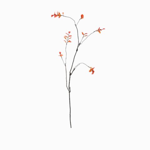 Аутумн (Autumn) — в интерьере