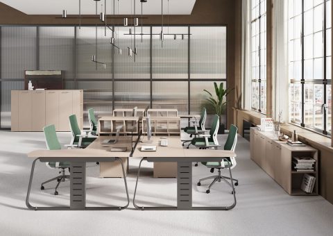 Генесис Оперативе (GENESIS OPERATIVE) — в интерьере