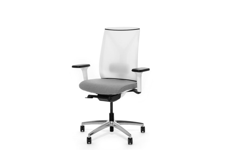 Дион Сетка — Profoffice — в интерьере