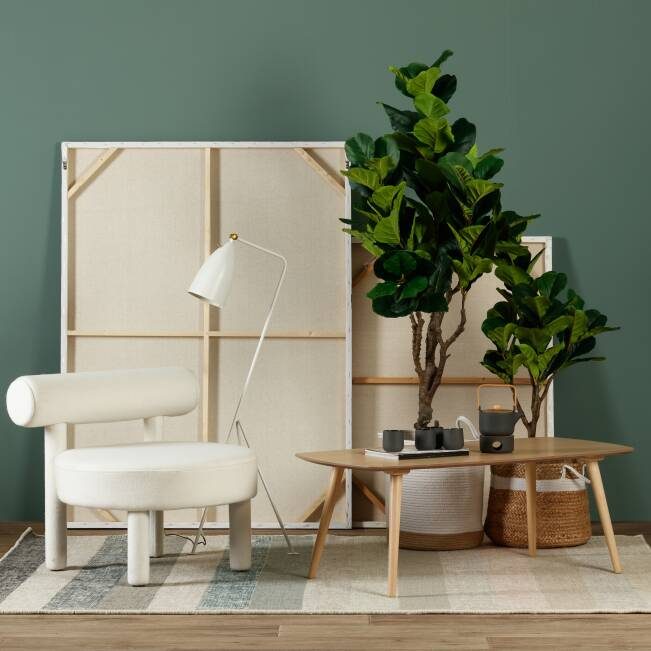 Ficus — в интерьере — в интерьере