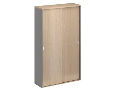 Шкаф-купе 206 полки/гардероб* (1200х420х2069) Flash M