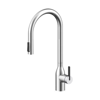 Смеситель для кухни Paulmark UNIVERSAL